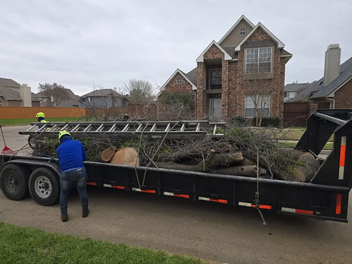 Expert Lot Clearing with proper safety equipment in Montclair